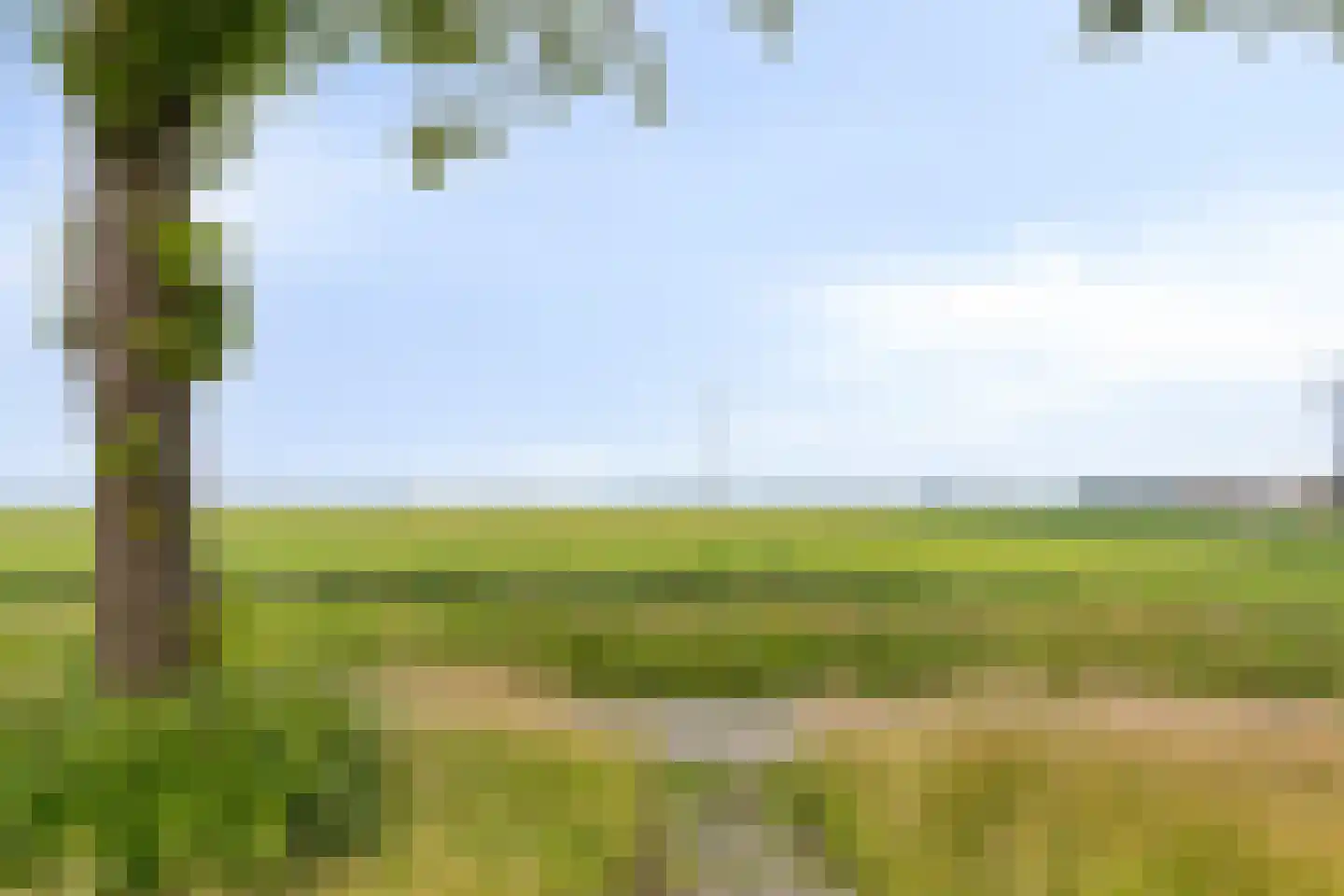 Noordzijde 49 Gasselternijveenschemond thumbnail 32