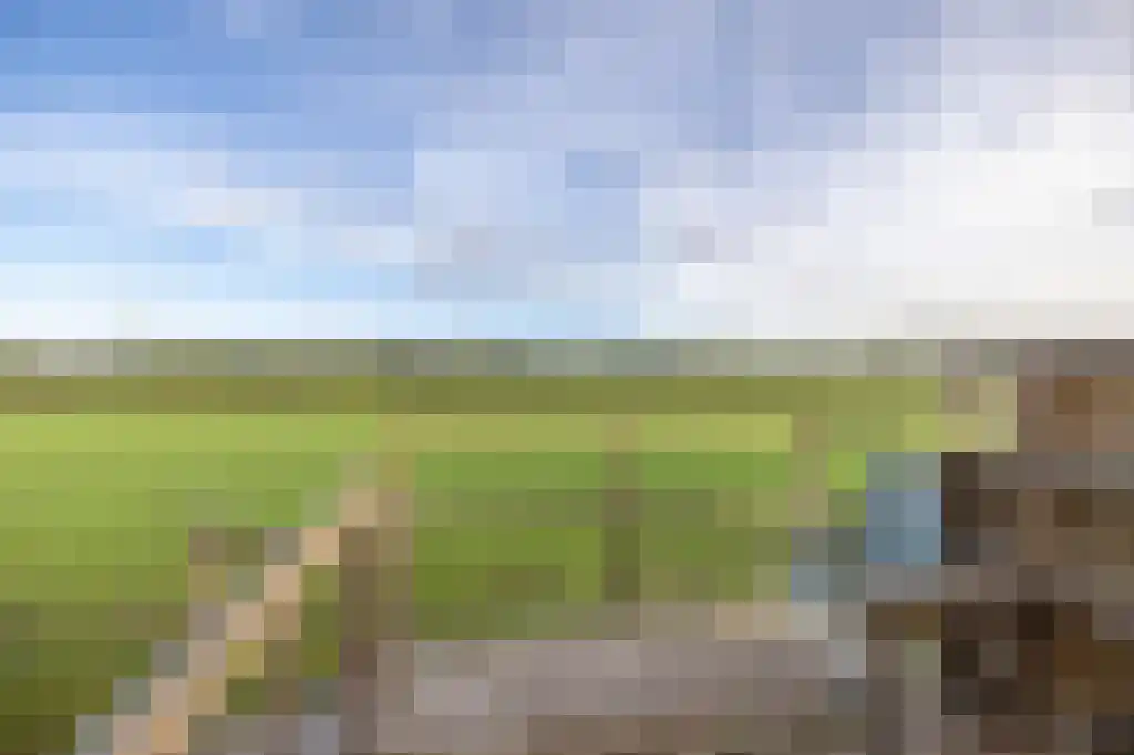 Noordzijde 49 Gasselternijveenschemond thumbnail 33