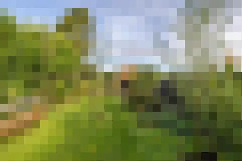 Noordzijde 49 Gasselternijveenschemond thumbnail 6