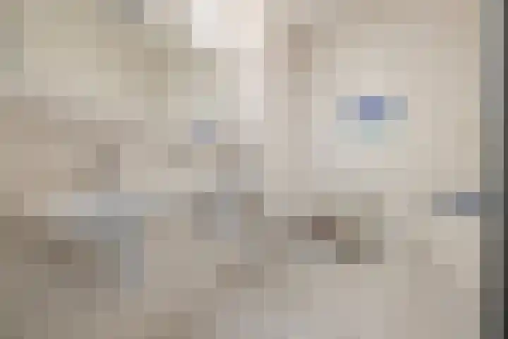 Noordzijde 54 b Bodegraven thumbnail 34