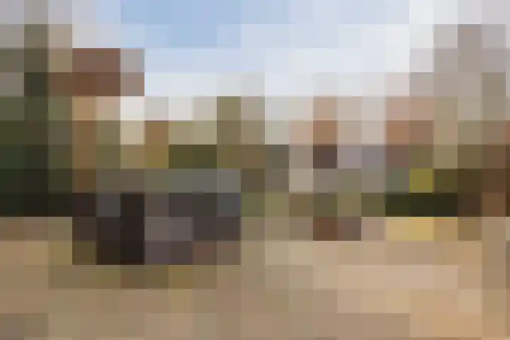 Noordzijde 54 b Bodegraven thumbnail 45