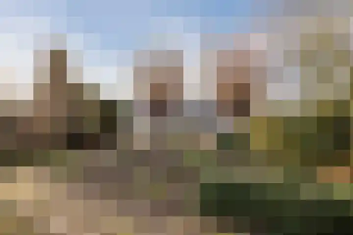 Noordzijde 54 b Bodegraven thumbnail 48