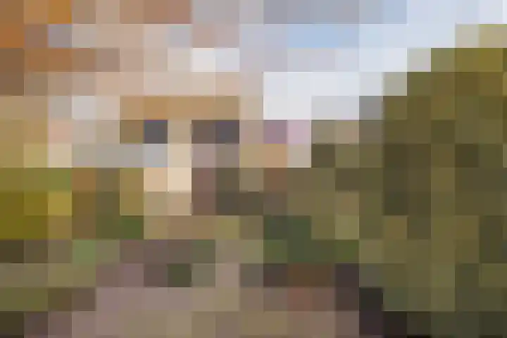 Noordzijde 54 b Bodegraven thumbnail 52