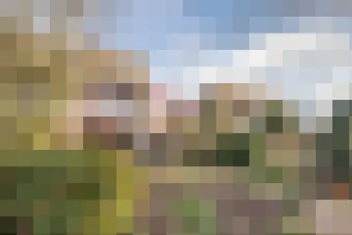 Noordzijde 54 b Bodegraven thumbnail 53