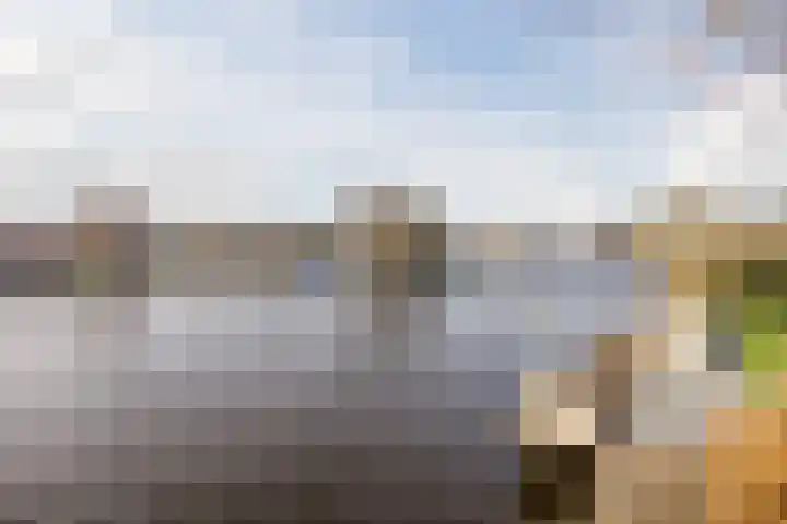 Noordzijde 54 b Bodegraven thumbnail 6