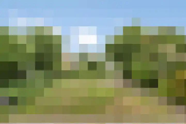 Noordzijde 54 Bodegraven thumbnail 11