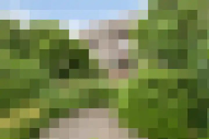 Noordzijde 54 Bodegraven thumbnail 14