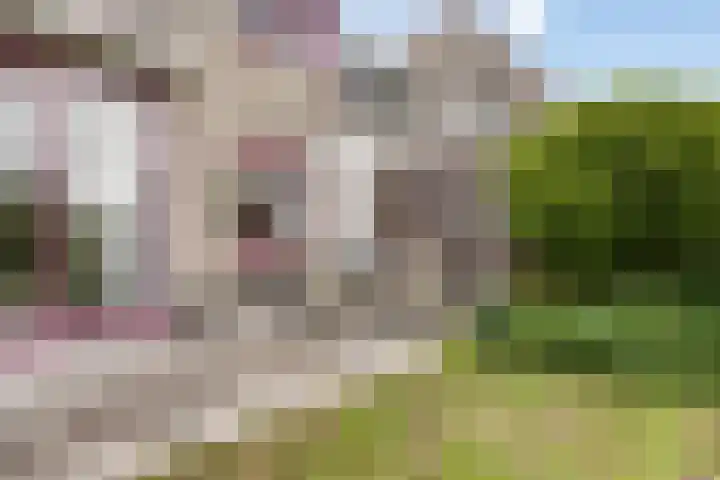 Noordzijde 54 Bodegraven thumbnail 16