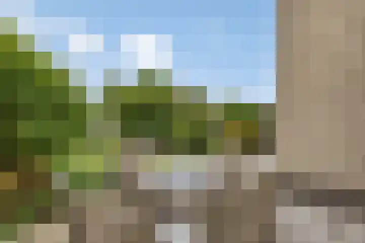 Noordzijde 54 Bodegraven thumbnail 17