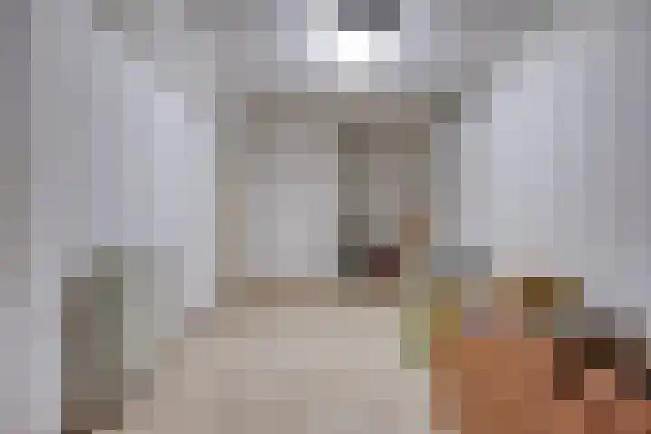 Noordzijde 54 Bodegraven thumbnail 25