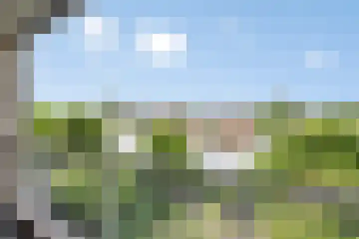 Noordzijde 54 Bodegraven thumbnail 31