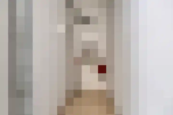 Noordzijde 54 Bodegraven thumbnail 41