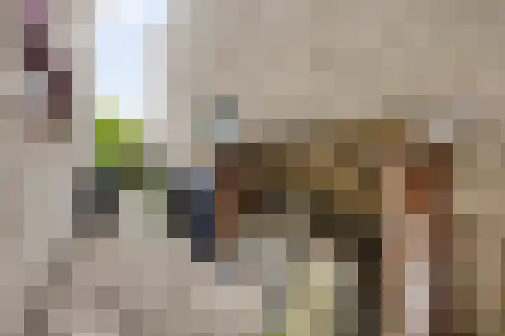 Noordzijde 54 Bodegraven thumbnail 42