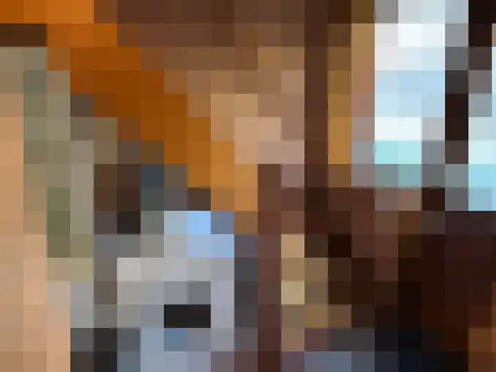 Noordzijde 56 A Noordeloos thumbnail 10