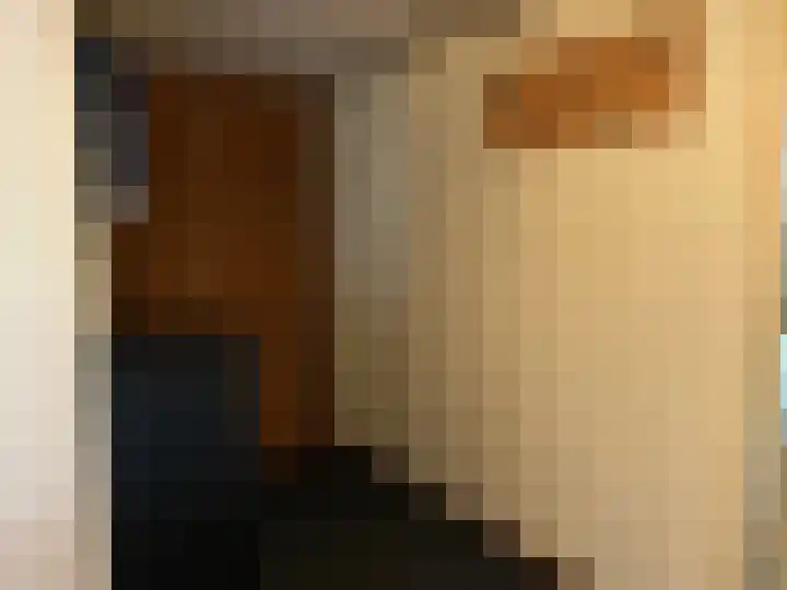 Noordzijde 56 A Noordeloos thumbnail 8