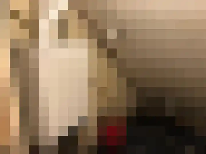 Noordzijde 56 A Noordeloos thumbnail 9