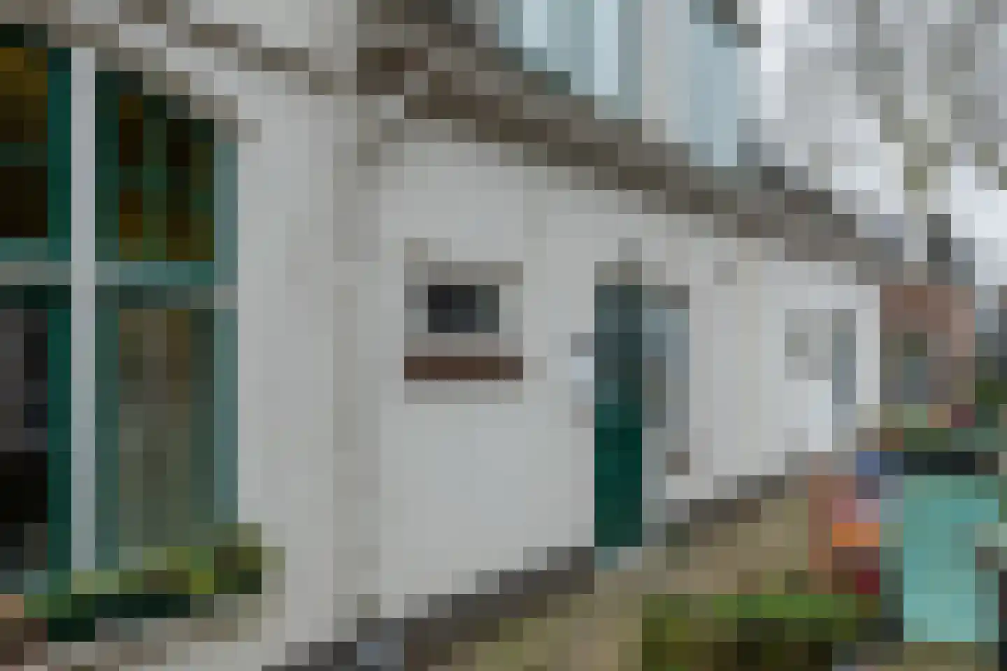 Noordzijde 57 A Noordeloos thumbnail 21