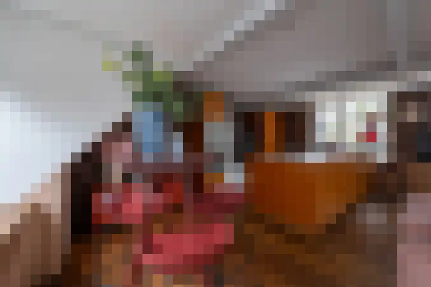 Noordzijde 57 A Noordeloos thumbnail 6