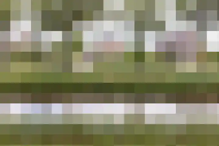 Noordzijde 7 C Odoornerveen