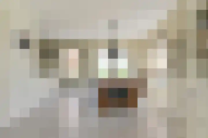 Noordzijde 7 C Odoornerveen thumbnail 20