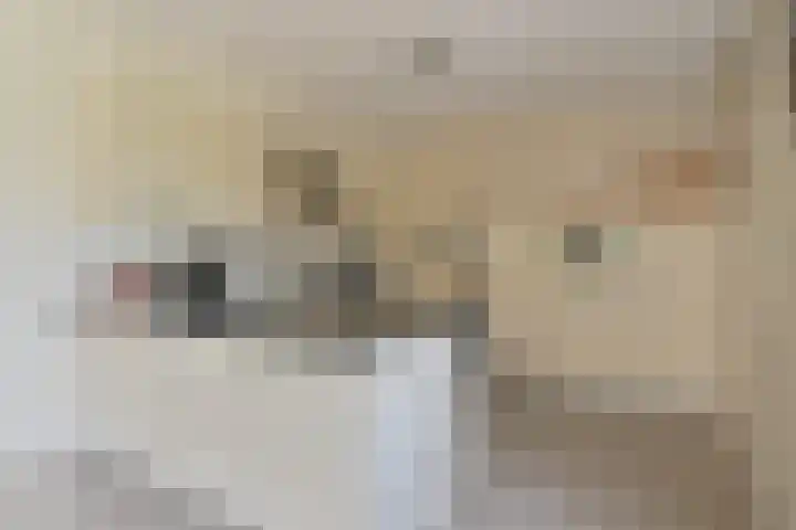 Noordzijde 7 C Odoornerveen thumbnail 27