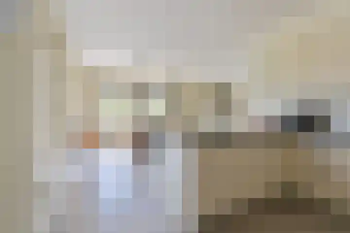 Noordzijde 7 C Odoornerveen thumbnail 30