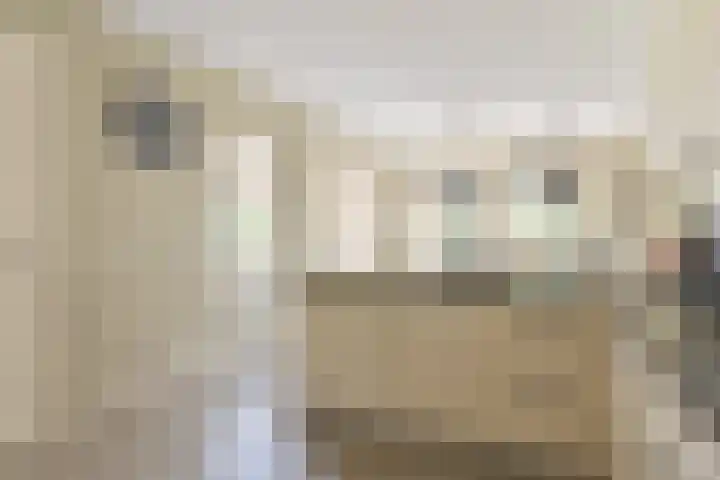 Noordzijde 7 C Odoornerveen thumbnail 31