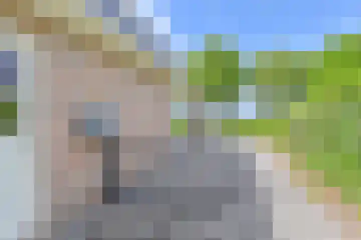 Noordzijde 7 C Odoornerveen thumbnail 39