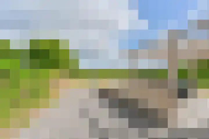 Noordzijde 7 C Odoornerveen thumbnail 40