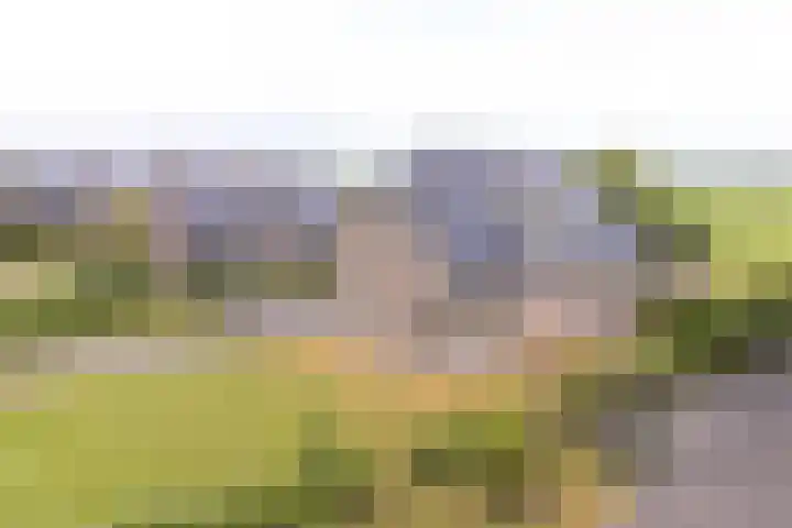 Noordzijde 7 C Odoornerveen thumbnail 7