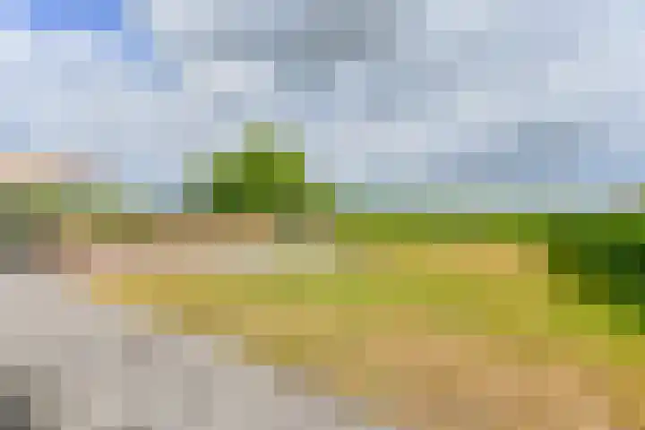 Noordzijde 7 C Odoornerveen thumbnail 85