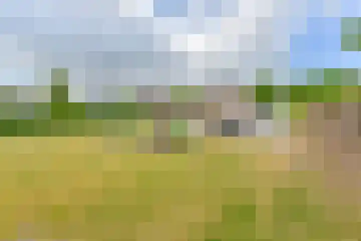 Noordzijde 7 C Odoornerveen thumbnail 88