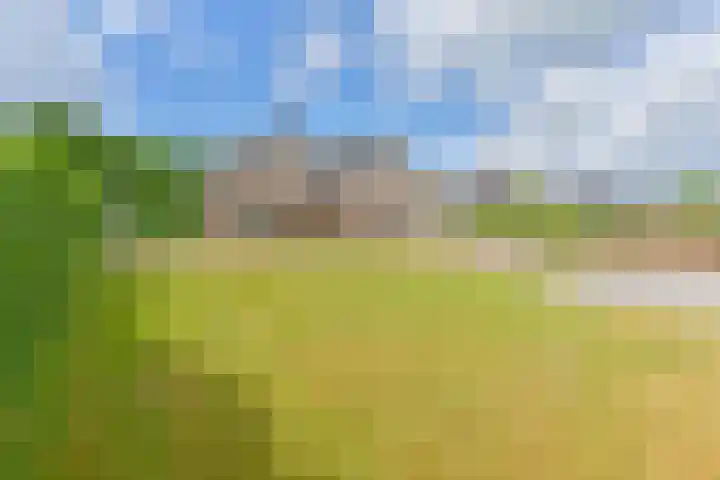 Noordzijde 7 C Odoornerveen thumbnail 89