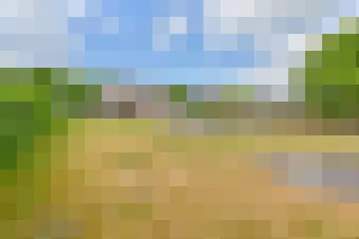Noordzijde 7 C Odoornerveen thumbnail 90