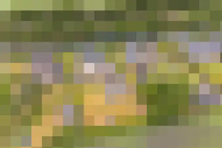 Noordzijde 7 C Odoornerveen thumbnail 91