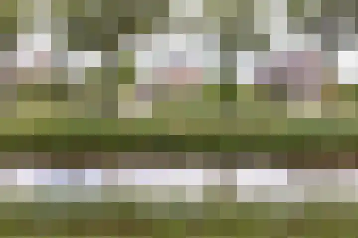 Noordzijde 7 C Odoornerveen thumbnail 94
