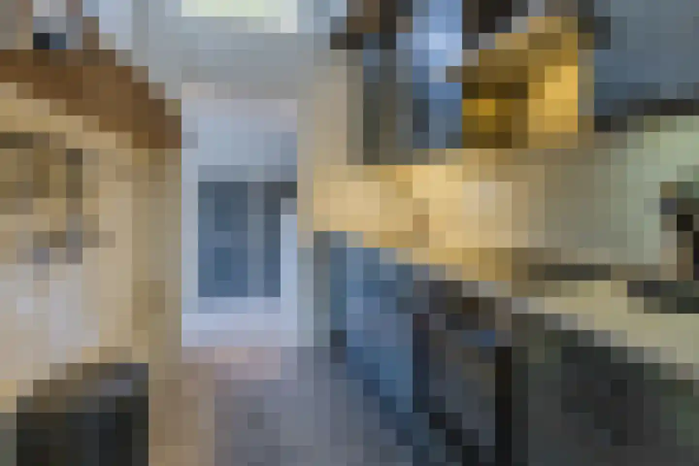Noordzijde 75 Bodegraven thumbnail 19