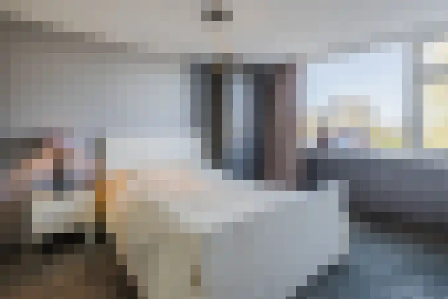 Noordzijde 75 Bodegraven thumbnail 29
