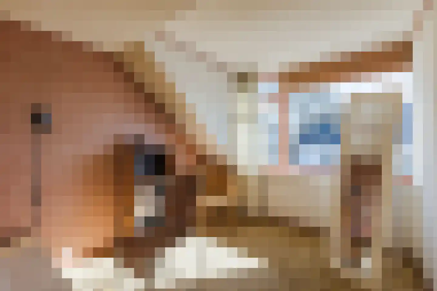 Noordzijde 75 Bodegraven thumbnail 33