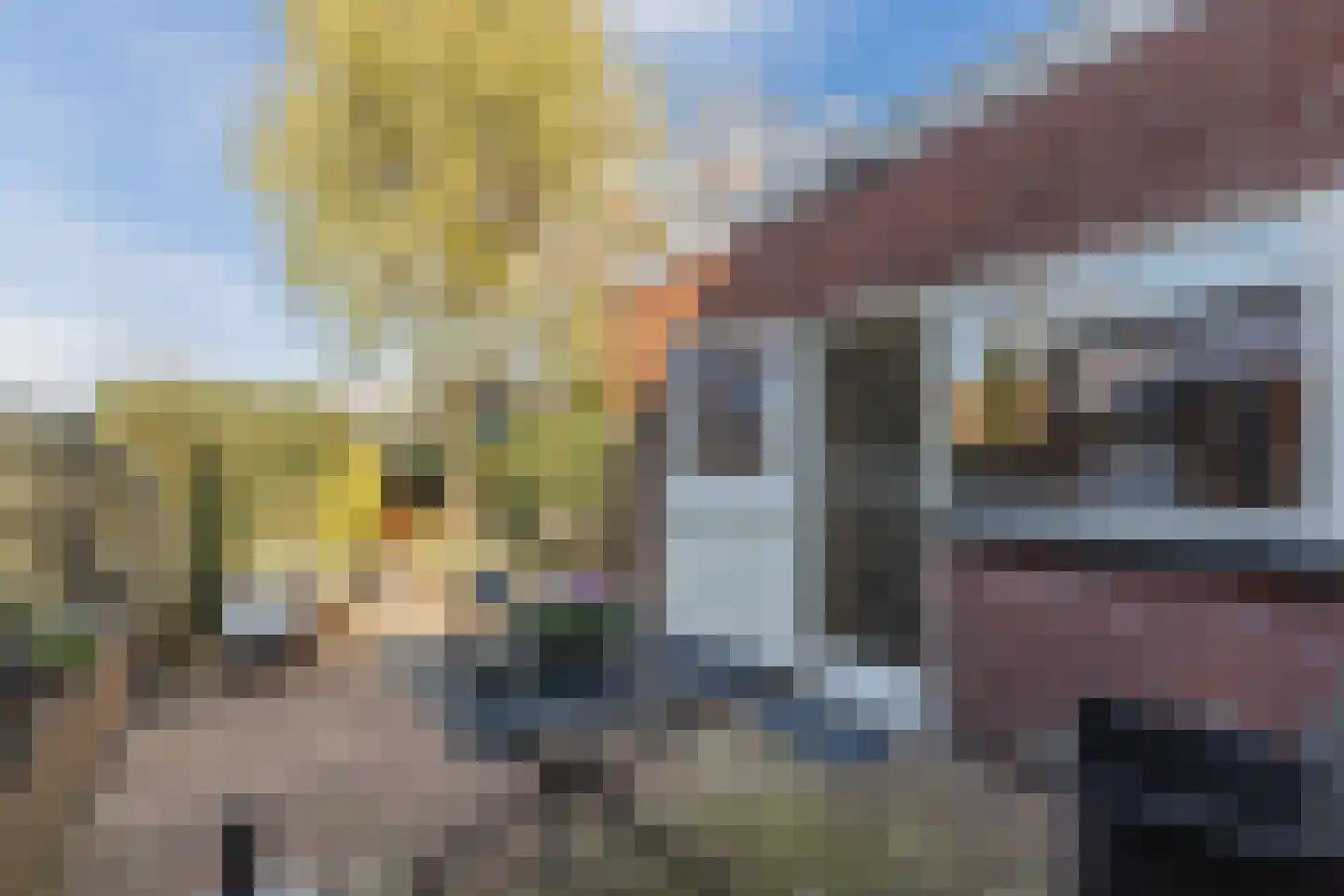 Noordzijde 75 Bodegraven thumbnail 40