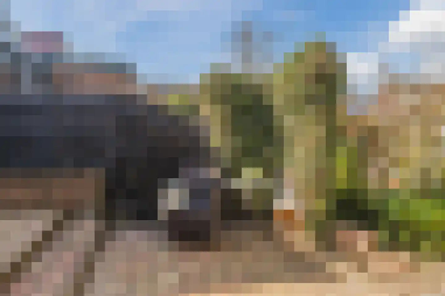 Noordzijde 75 Bodegraven thumbnail 41
