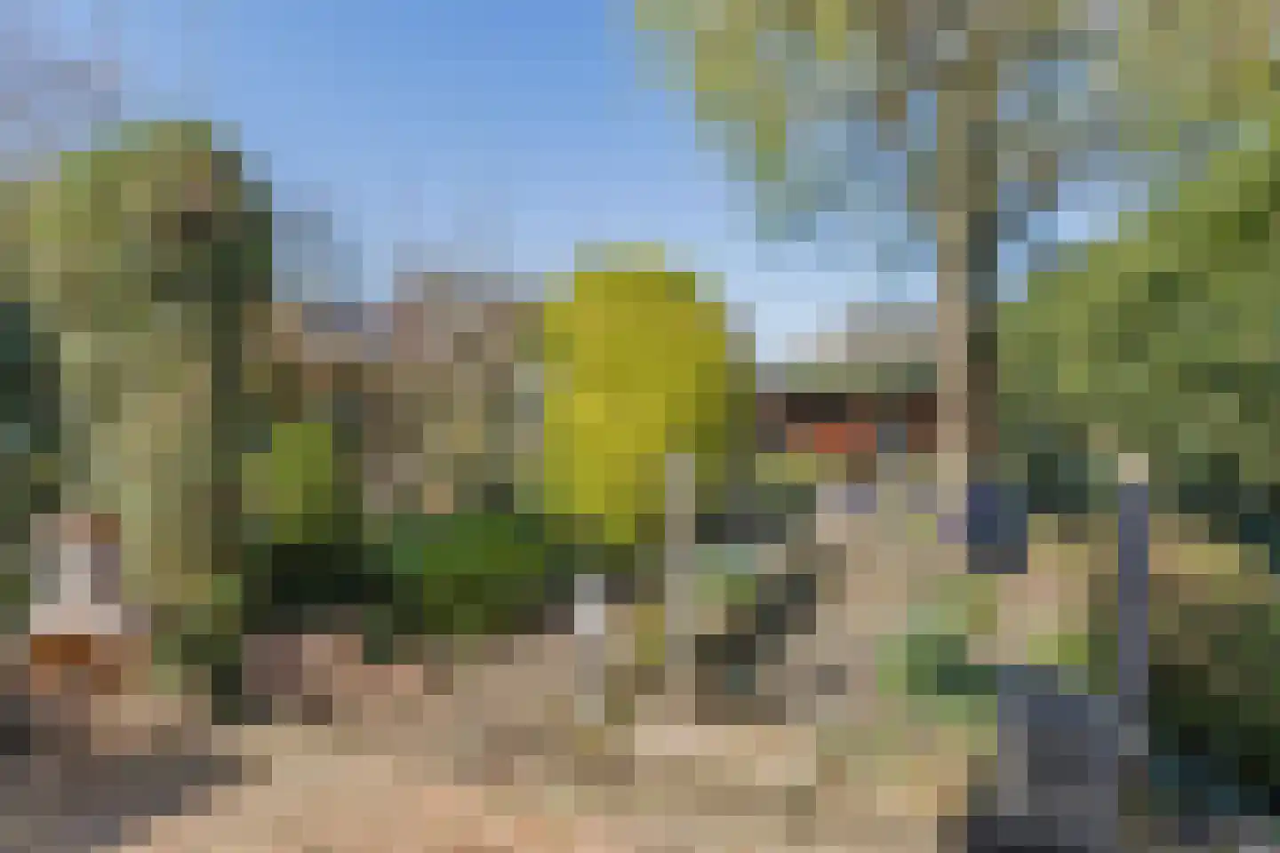Noordzijde 75 Bodegraven thumbnail 43