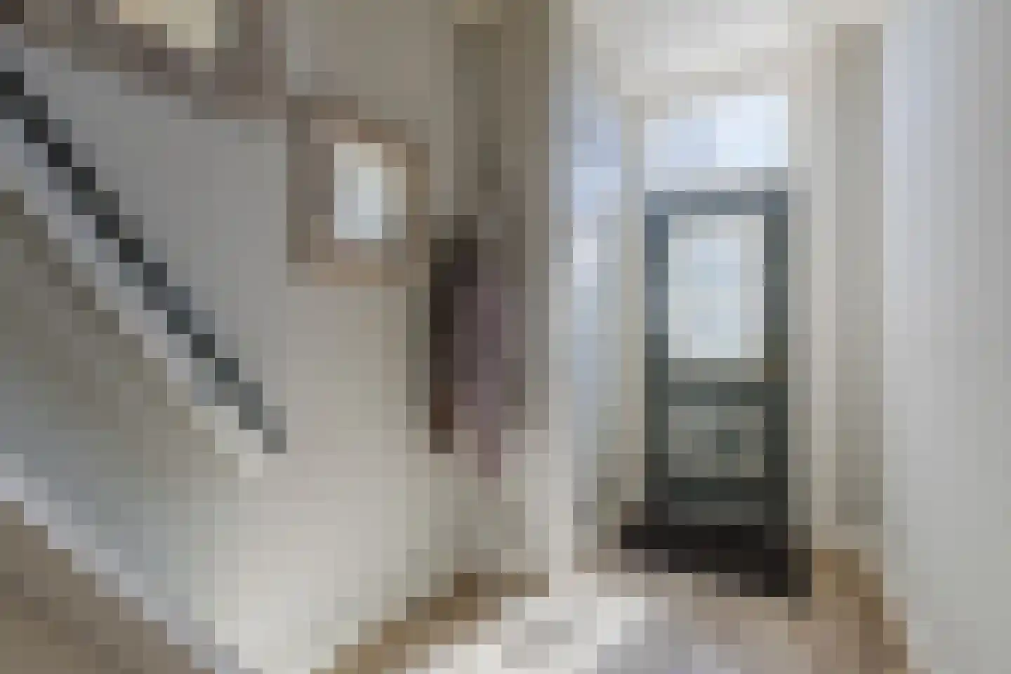 Noordzijde 75 Bodegraven thumbnail 8