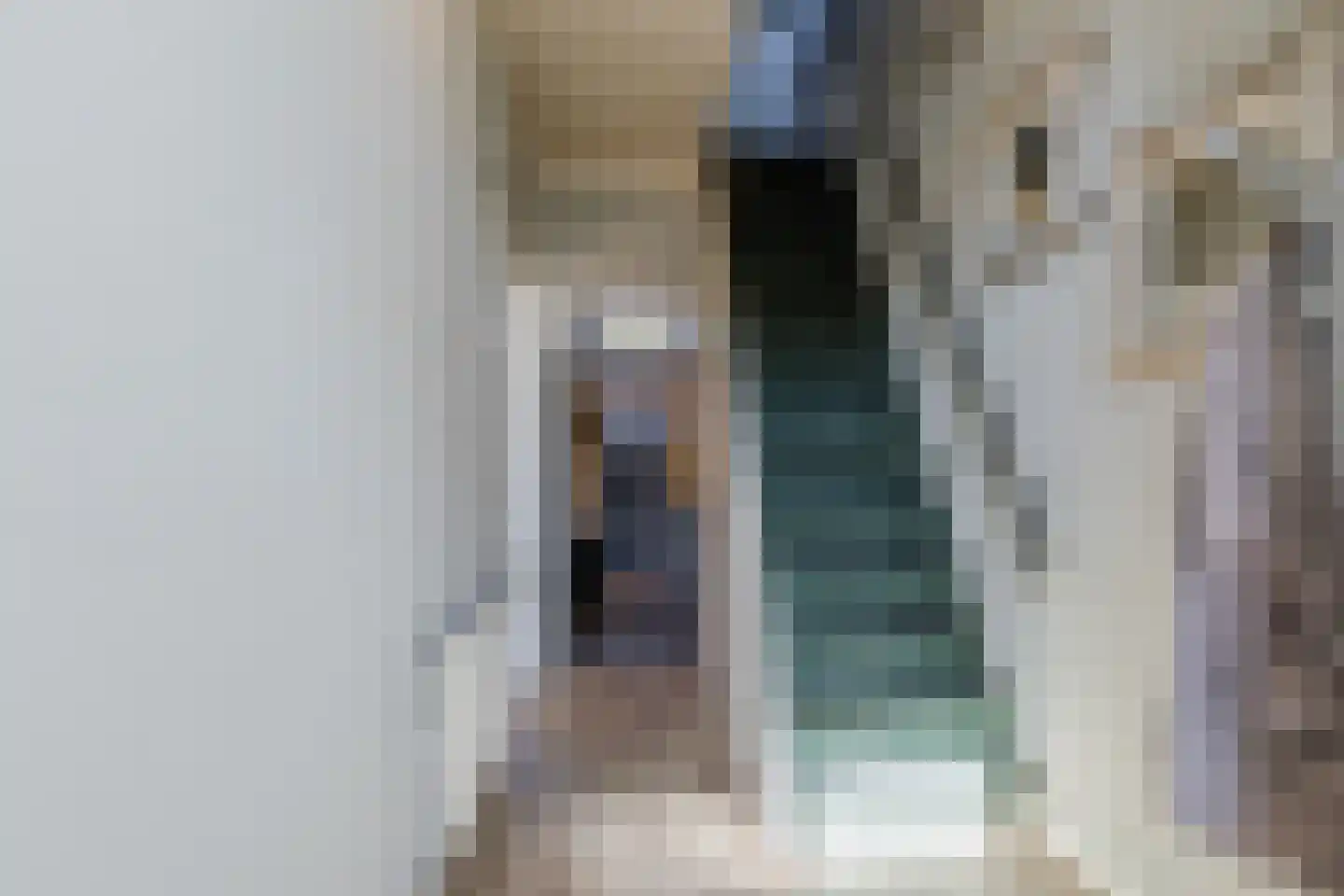 Noordzijde 75 Bodegraven thumbnail 9