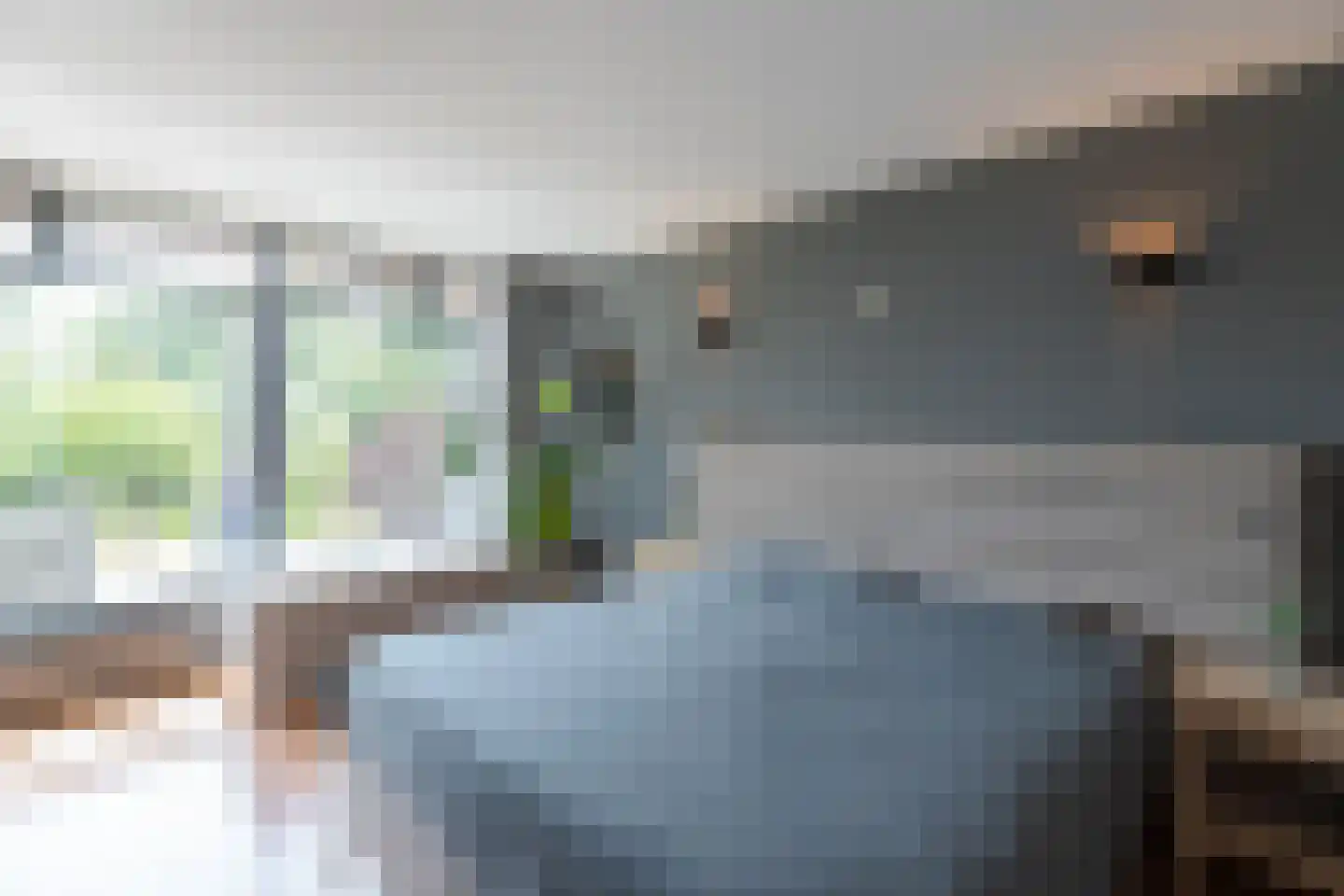 Noordzijde 8 Oud-Alblas thumbnail 23