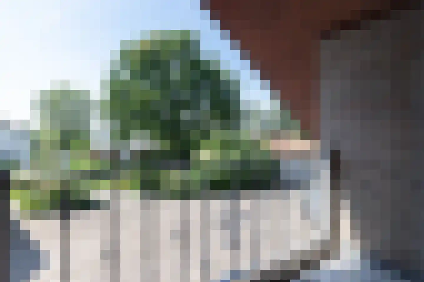 Noordzijde 8 Oud-Alblas thumbnail 55