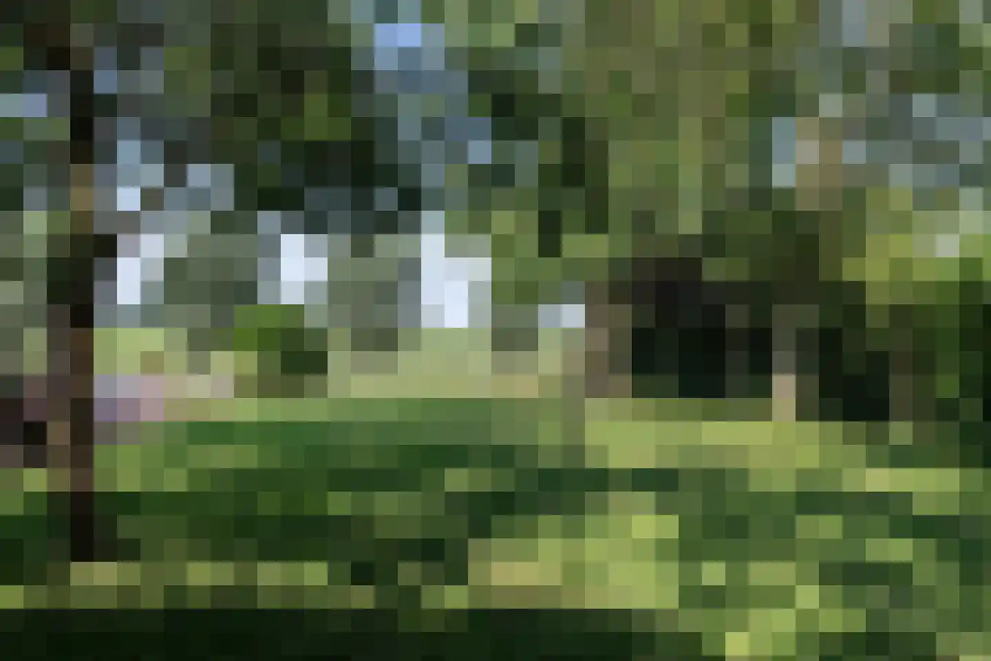 Noordzijde 8 Oud-Alblas thumbnail 69
