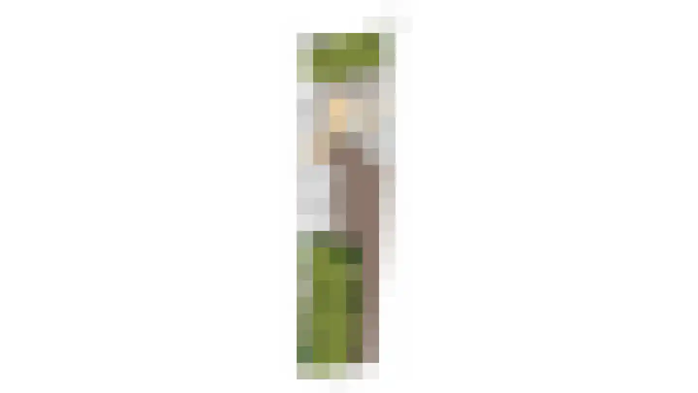 Noordzijde 8 Oud-Alblas thumbnail 72