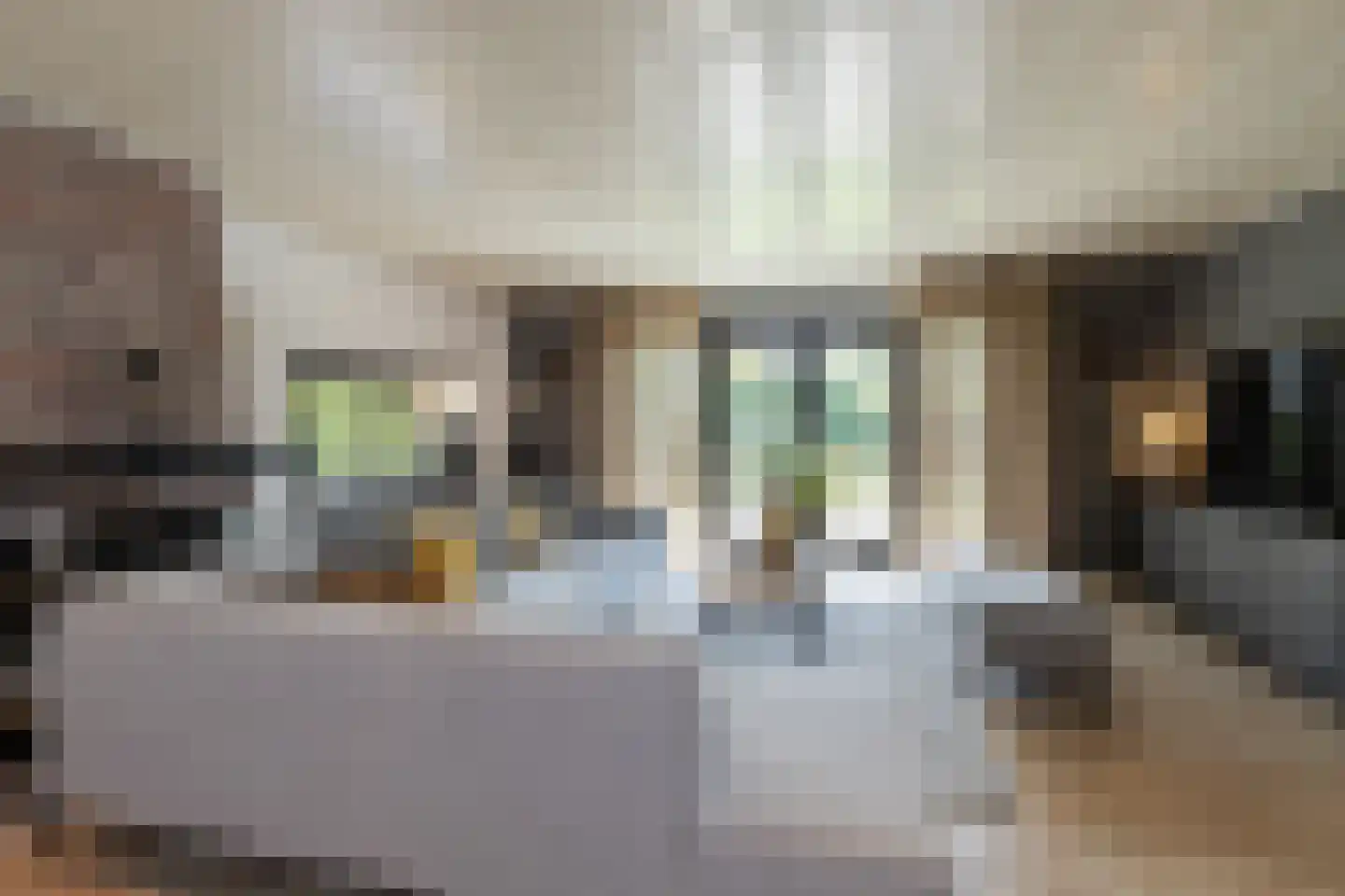 Noordzijde 8 Oud-Alblas thumbnail 9