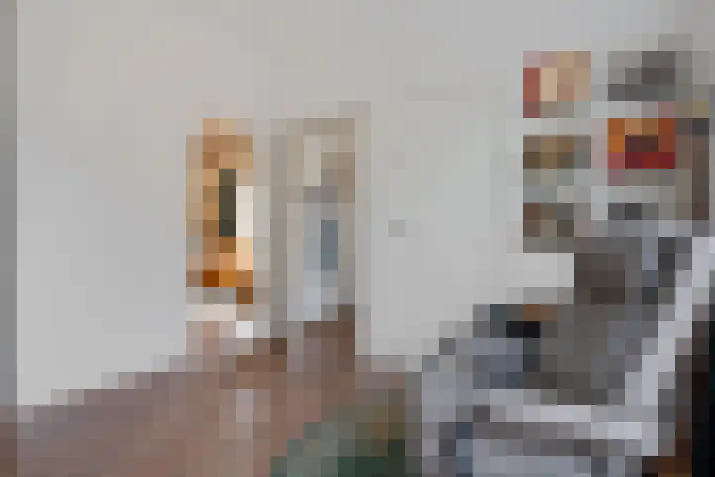 Noordzijde 89 Gasselternijveenschemond thumbnail 12